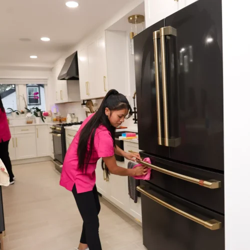 Professional maid detailing the inside of a residential oven